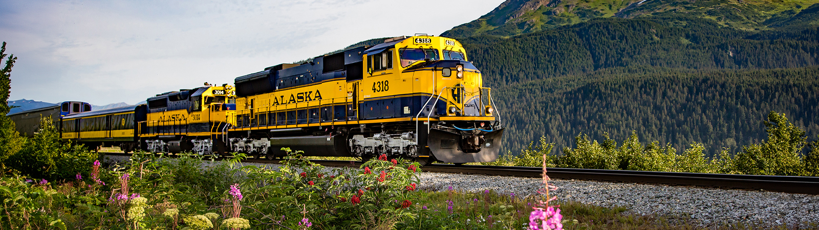 Alaska Railroad