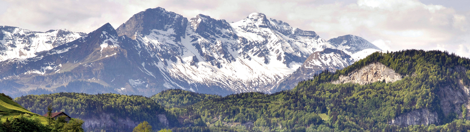 Swiss Alps