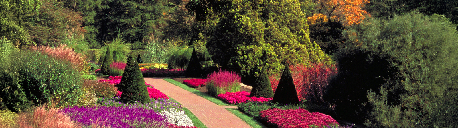 “Joshua” - Philadelphia and Amish Country