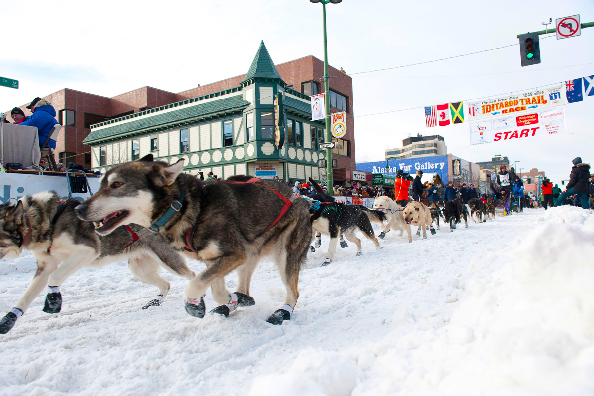 Alaska’s Iditarod Trail Sled Dog Race